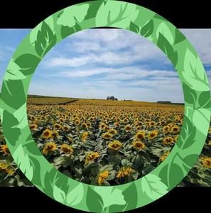 Meet your Posher, Áśhĺéý